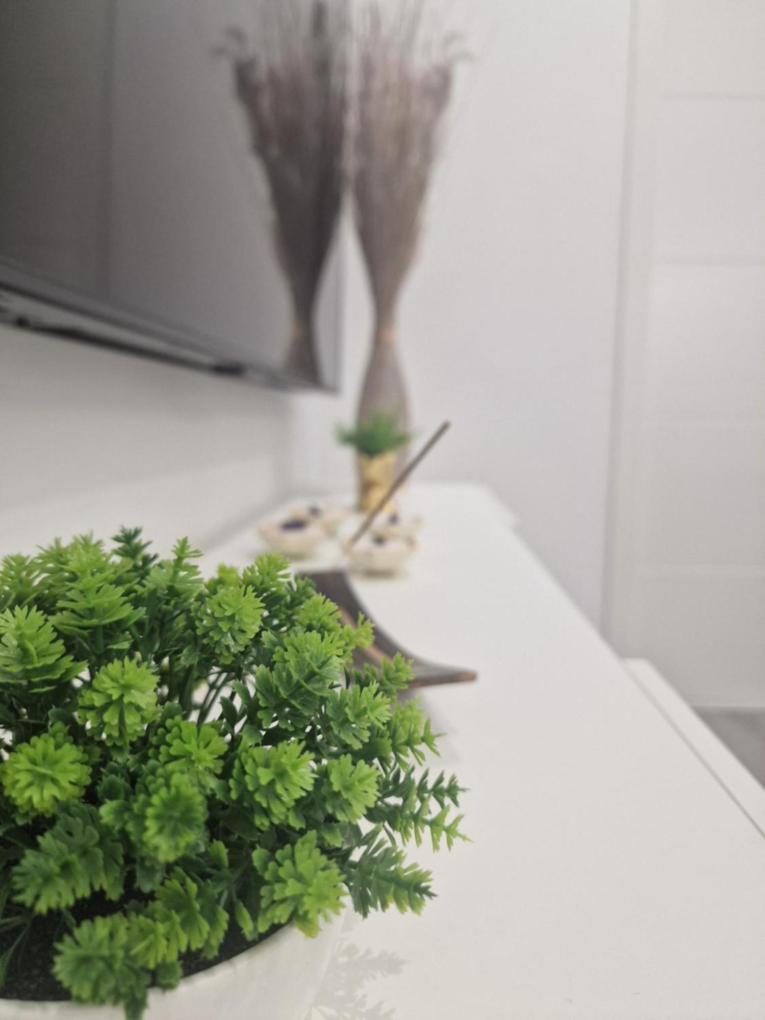 Ferienwohnung Barcelona, Apartamento De 1 Habitacion L’Hospitalet de Llobregat Exterior foto